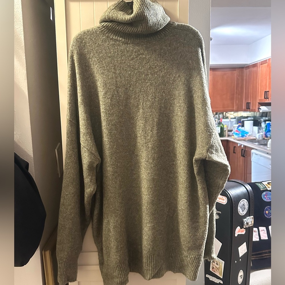 Zara Olive Turtleneck Sweater/Tunic